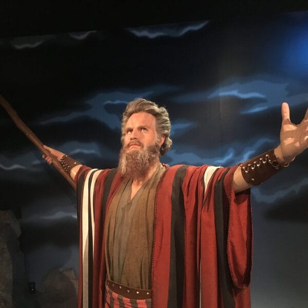 Charlton Heston: il ricordo della star hollywoodiana a&hellip;