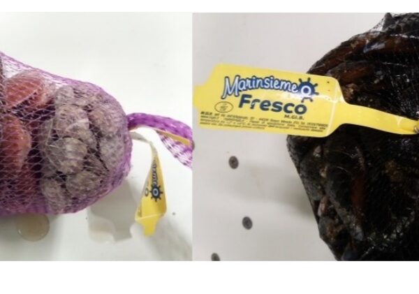 Allerta Tris di mare: Ministero della salute ritira Mitili per rischio biotossine algali [MARCHIO E LOTTO]