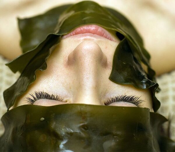 Alghe alleate di bellezza