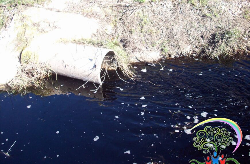 Lizzano - Acqua contaminata?