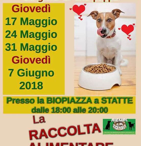 Statte - Adotta un cane