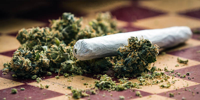 Boom aperture negozi di Cannabis in Italia