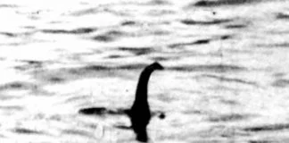 Loch Ness: e se il mostro fosse un'anguilla?