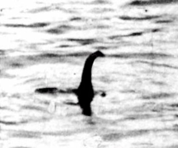 Loch Ness: e se il mostro fosse un'anguilla?