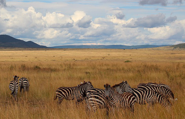 Uomo di 40 anni muore in viaggio di nozze in Kenia