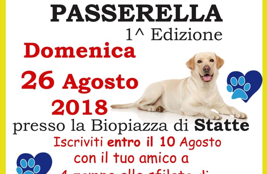 Statte - Presentato il Bilancio del cittadino