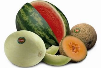 I frutti dell'estate: cocomero e melone