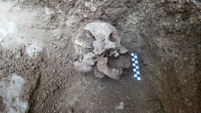 Trovato scheletro di un 'bambino vampiro' in un cimitero Umbro del v secolo