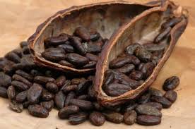 Il cacao aiuta a recuperare la memoria grazie ai flavanoli
