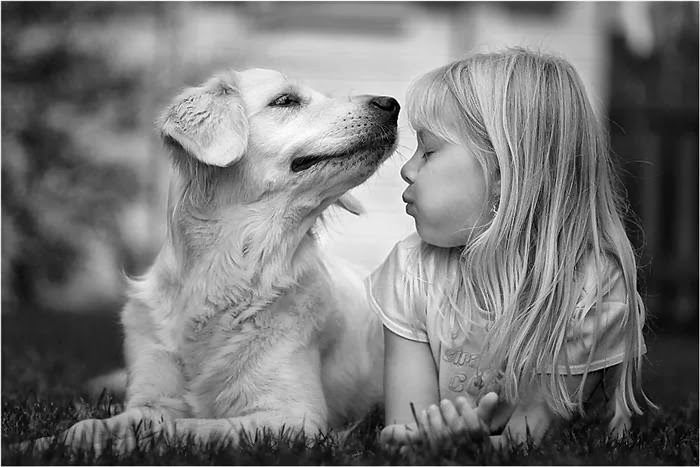 7-8 giugno 2014: week end all'insegna della solidarietà per i nostri amici a quattro zampe