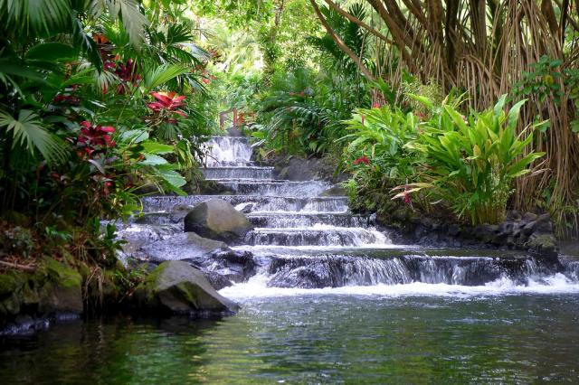 Costa Rica: paradiso in cui fuggire o semplice illusione? 2a Parte.