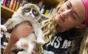 Grumpy Cat