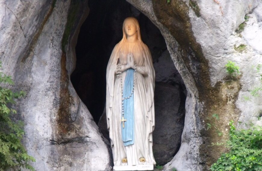 ha qualcosa da dirci...