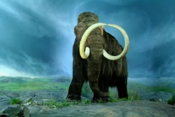 Clonazione al via del mammut