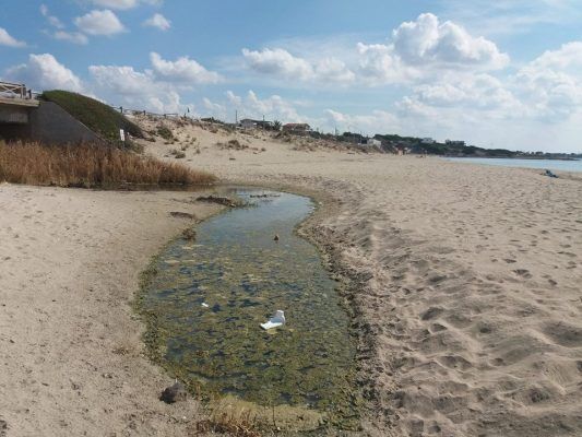 Lizzano - Pericolo crollo? (Foto)