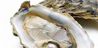 La fortuna bacia anche a cena: apre un’ostrica e trova 5 perle