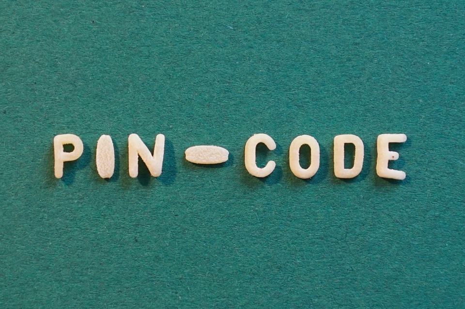 Il Pin inps: un codice