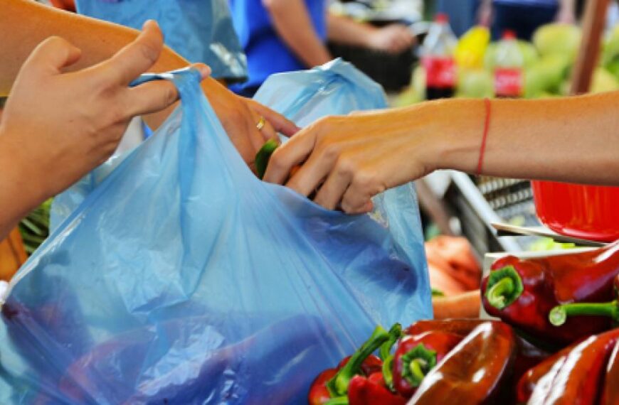 La guerra dei sacchetti biodegradabili