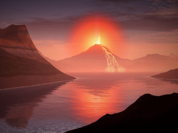 Scoperte le tracce della sesta estinzione di massa