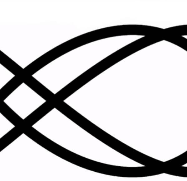 L’illusione ottica dell’anno 2019, indovinate da che parte&hellip;