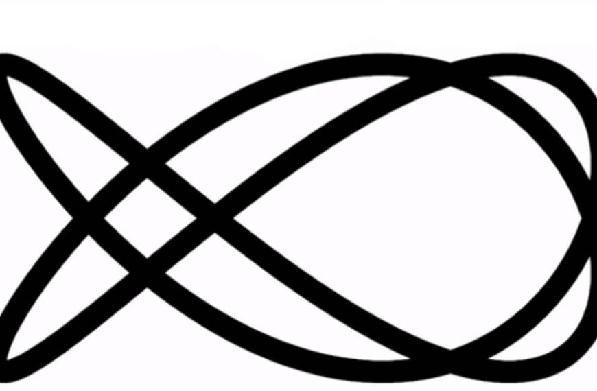 L’illusione ottica dell’anno 2019, indovinate da che parte gira