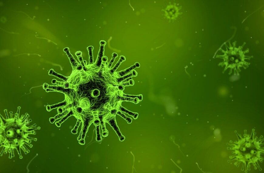 Virus Cina: due città in quarantena, l'infezione arriva dai serpenti