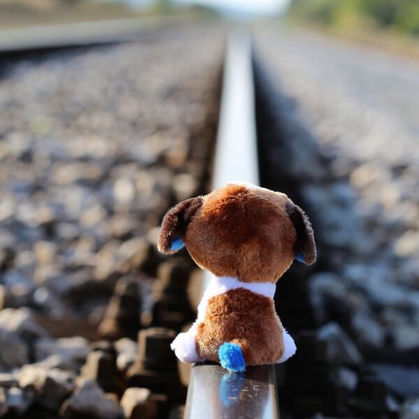 La storia di Quaden Bayles, il bimbo di&hellip;