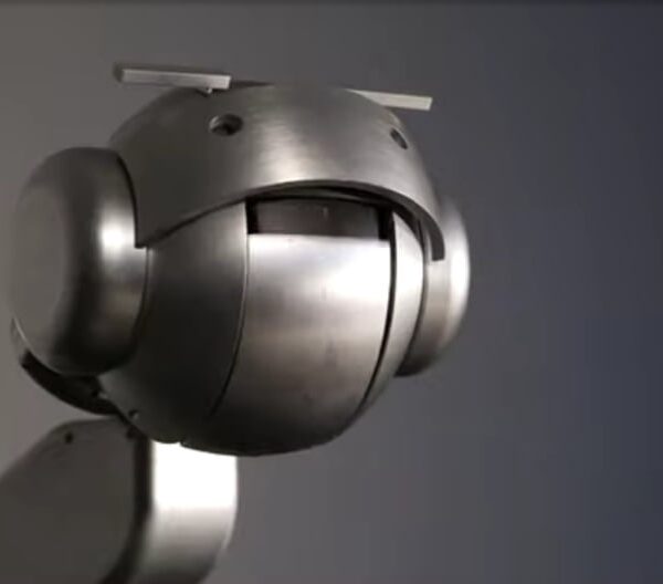 Team testa il percorso cerebrale dietro le decisioni