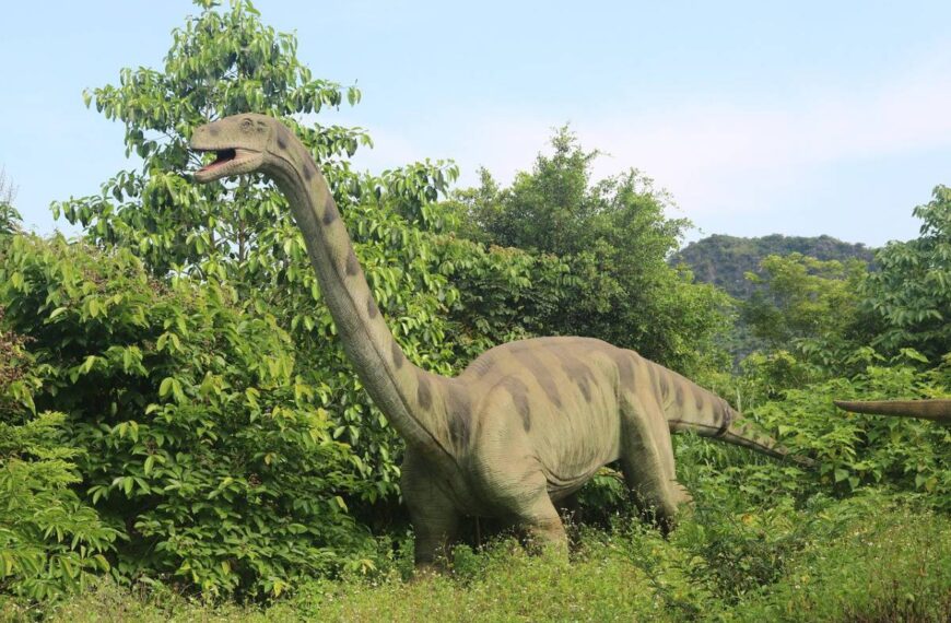 Parchi dinosauri Italia