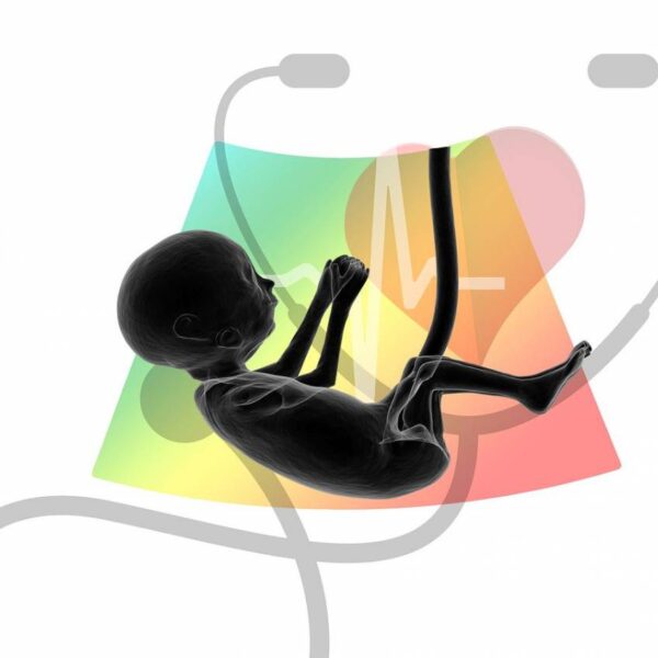 L’aborto con la pillola sarà in Day hospital,…