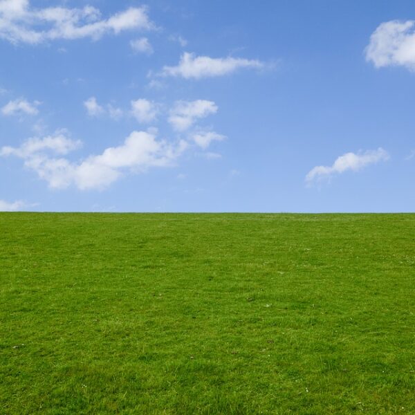 Decarbonizzazione 2040, cosa succederà tra vent’anni se messa…