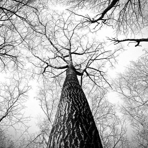 Photo credits: pixabay