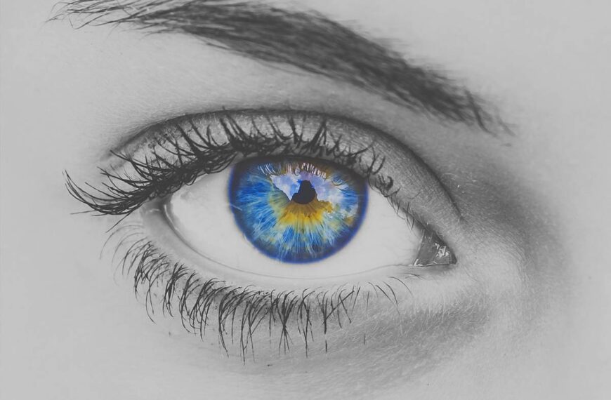 Olio di ricino per ciglia da sogno