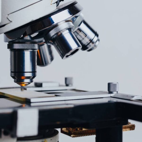 Covid: stress, ansia e cattiva alimentazione possono influire&hellip;