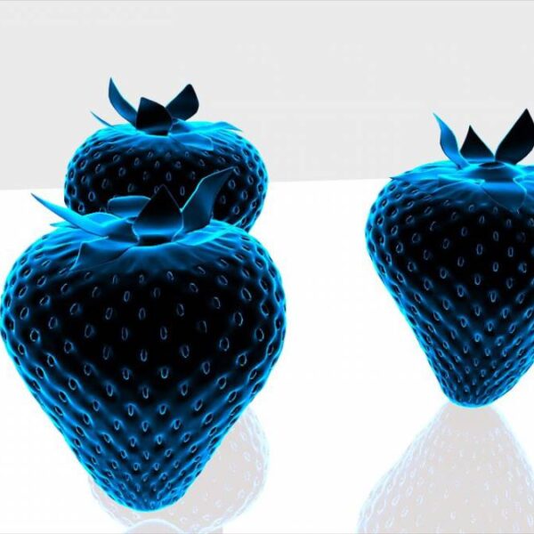 Gli ologrammi commestibili: il cibo del futuro