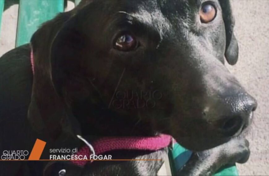 Benno Neumair: il litigio sul cane e subito dopo l’omicidio