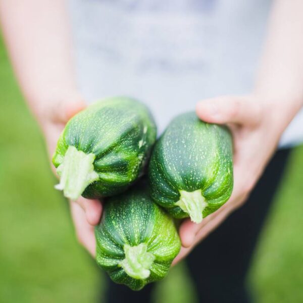 Zucchine: effetti e benefici e curiosità di un&hellip;