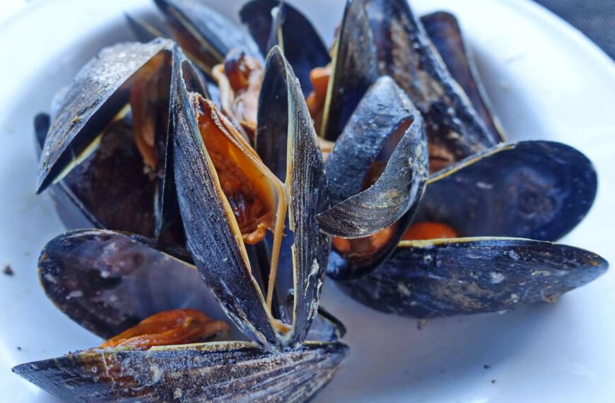 Cozze, allarme della Salute per livelli biotossine: “Non mangiatele neanche cotte”
