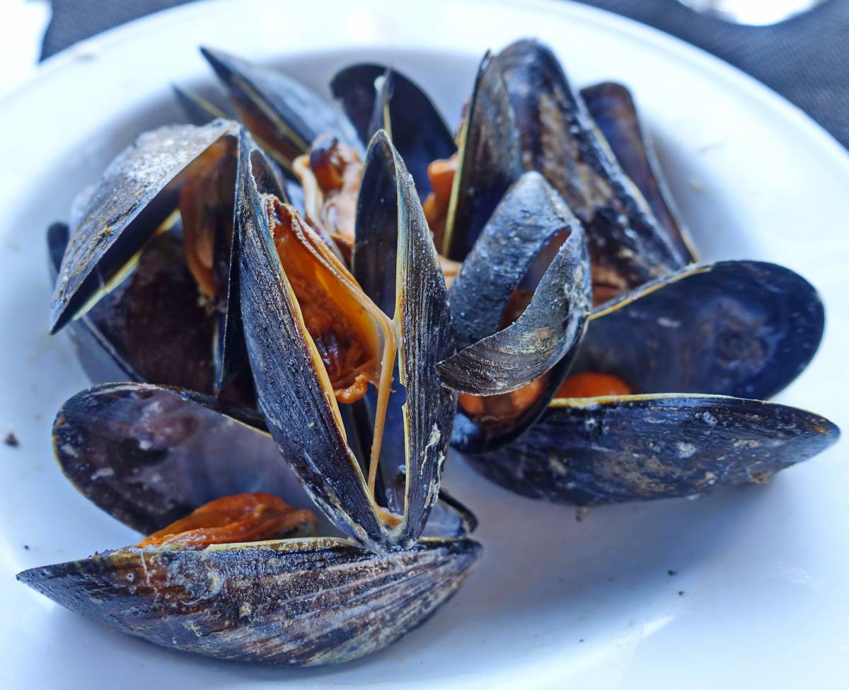 Mussels, health alarm for biotoxin levels "Do not eat them even cooked