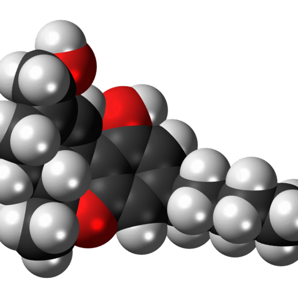 Età, dieta e aumento di peso: c’è davvero…