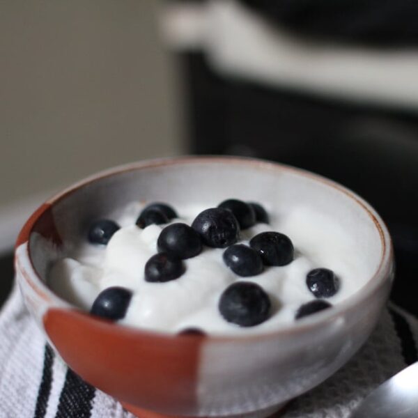 yogurt