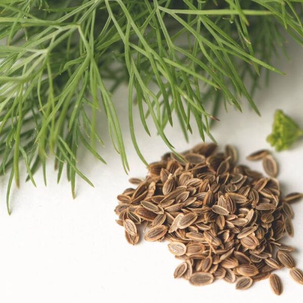 Allerta alimentare da parte del Ministero della Salute:&hellip;