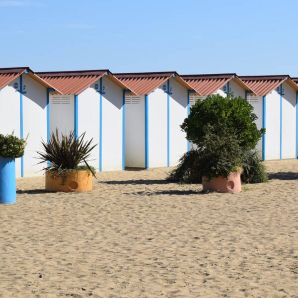 Tragedia a Chioggia: 52enne muore schiacciato da una…