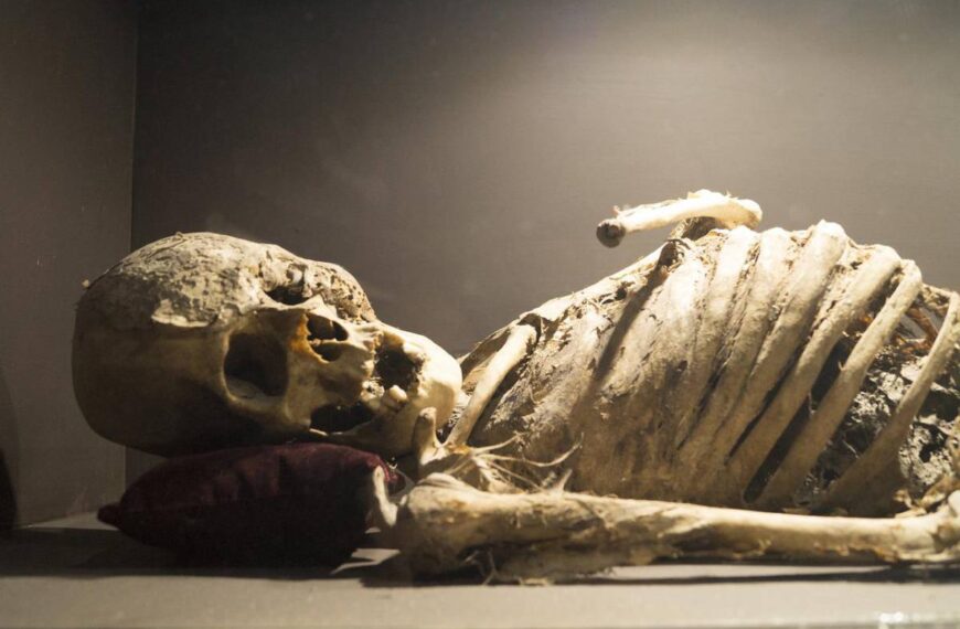 Trovato uomo mummificato. Era chiuso in mansarda da 7 mesi