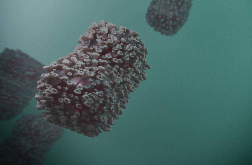 Vaiolo delle scimmile