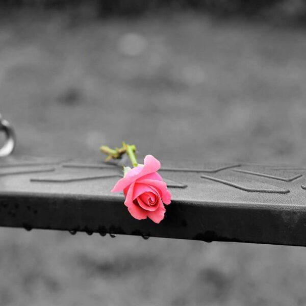 Verona, ragazza di 27 anni si suicida in carcere con un fornelletto