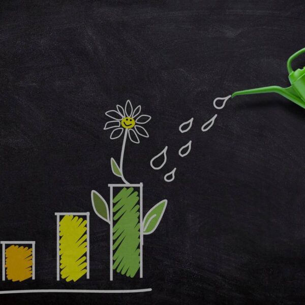 Buono fruttifero postale: cos’è i Buono Rinnova e…