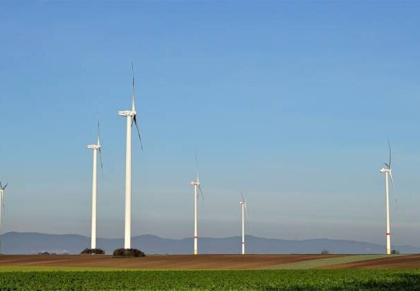 Fai, Legambiente e WWF finalmente d’accordo: sì a&hellip;