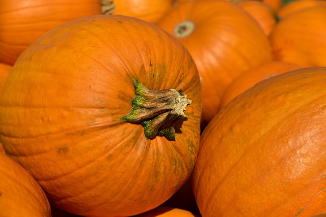 Scoperti i benefici della zucca per chi ha il diabete