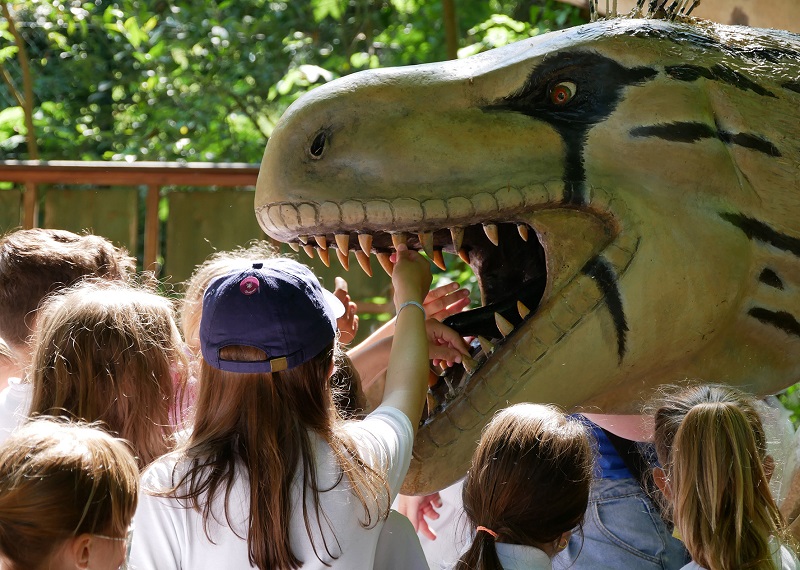 Carnevale al Parco degli Alberi Parlanti